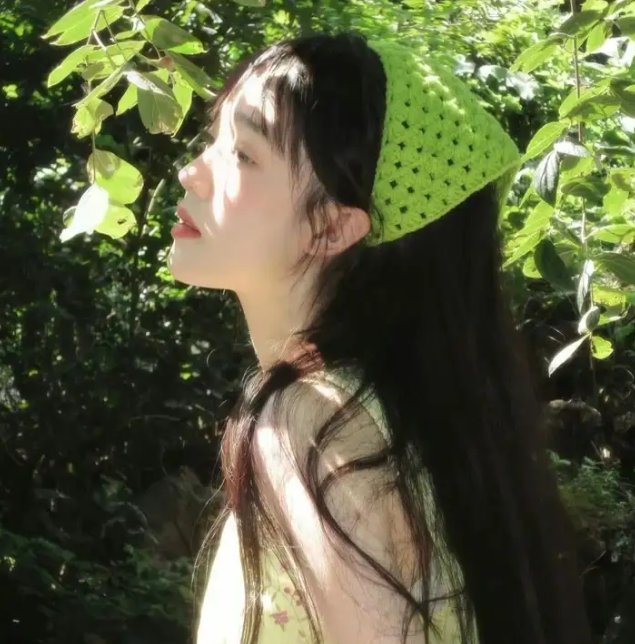 布里叶女士海报